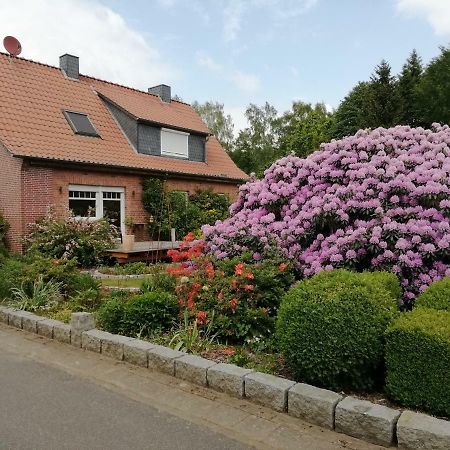 Ferienwohnung Bachmanns Ruh Витцендорф Екстериор снимка